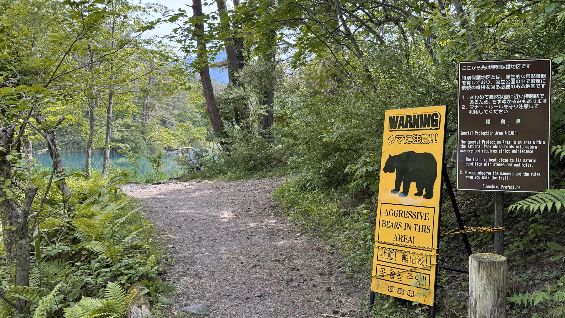 クマ注意看板