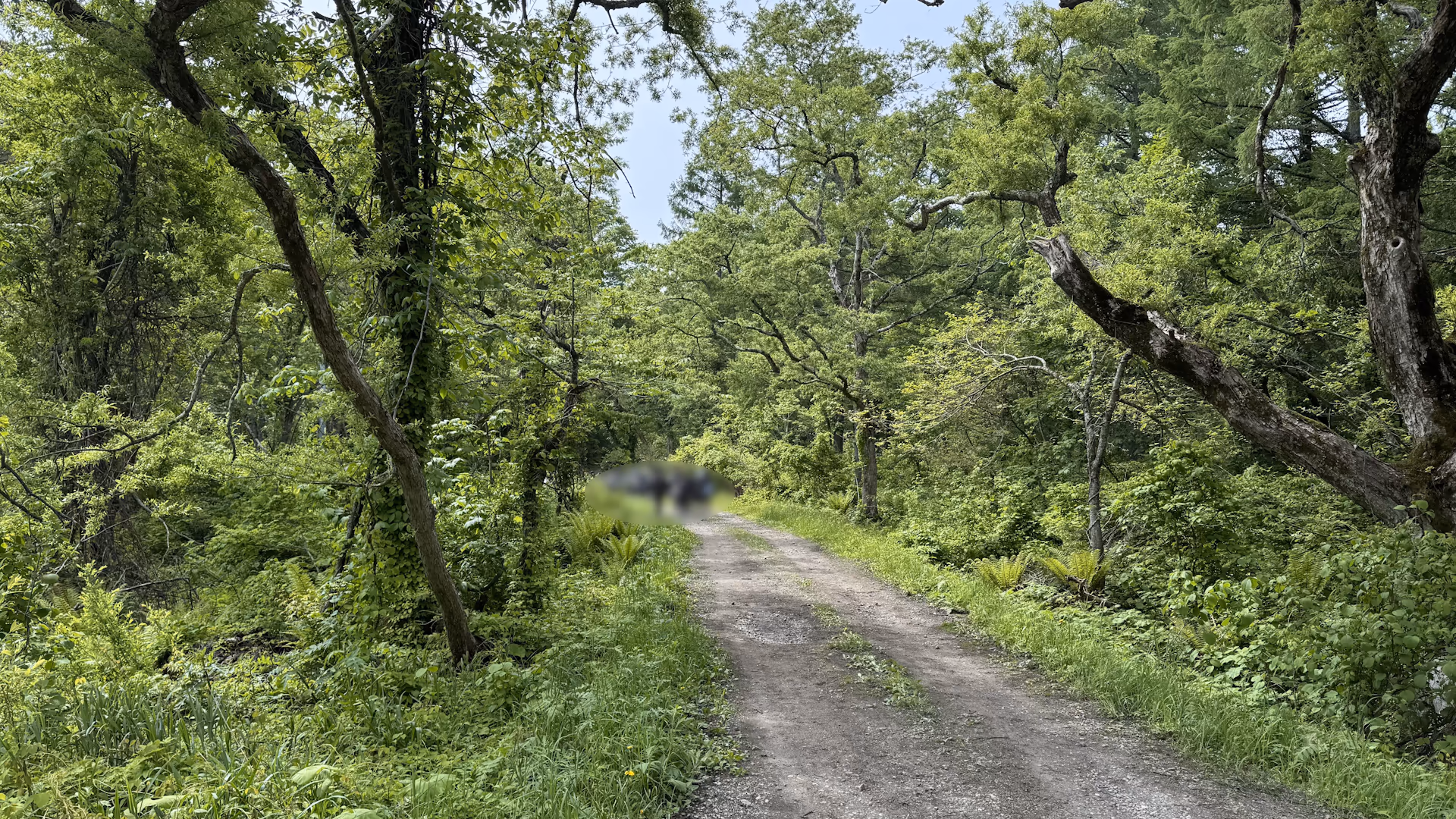 桧原湖畔探勝路入口