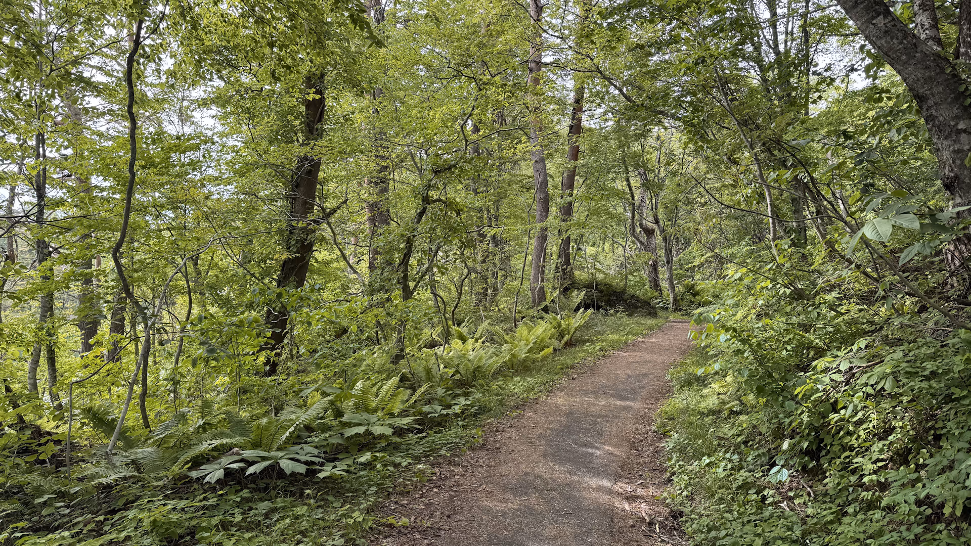 桧原湖畔探勝路