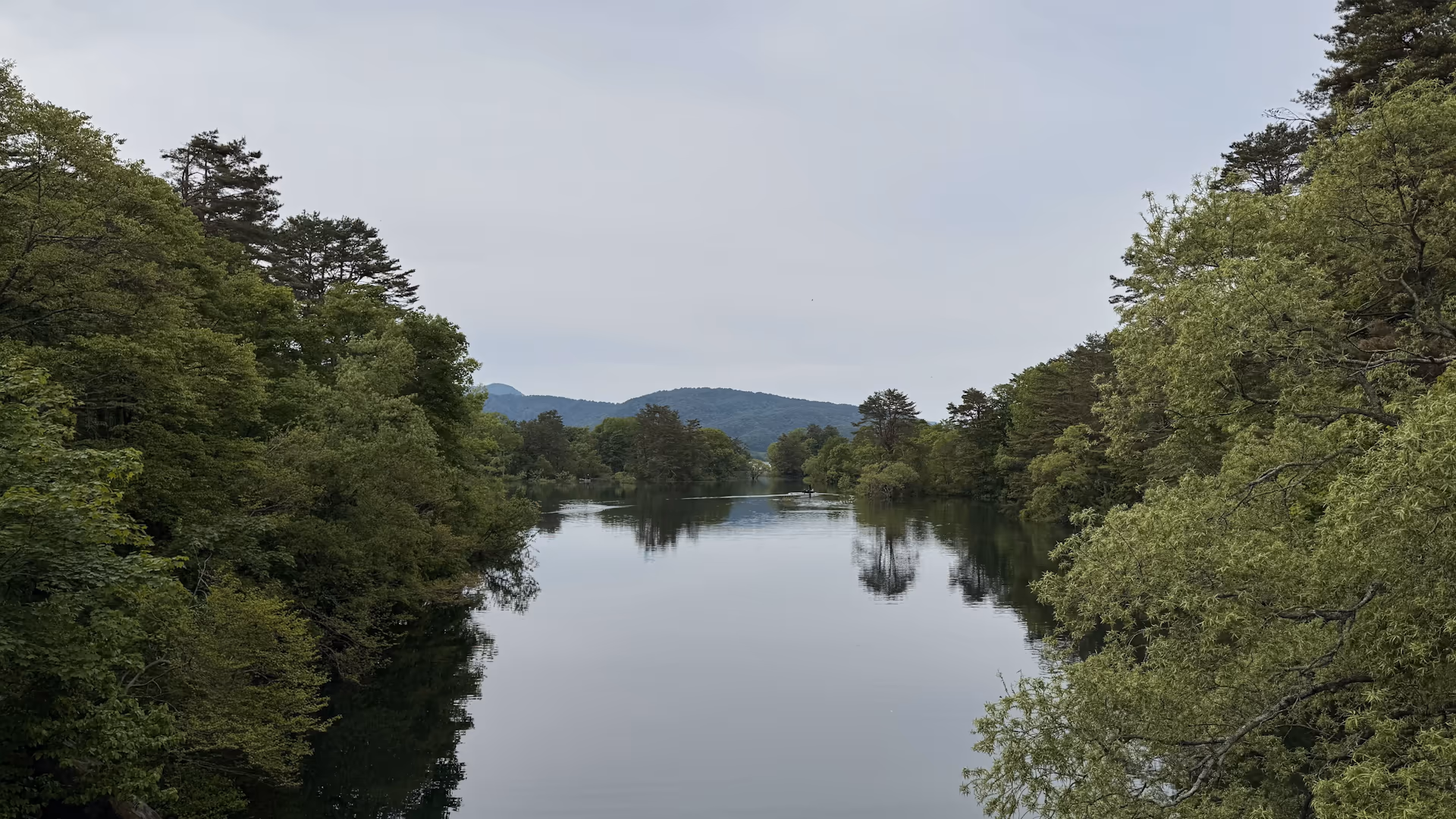 吊り橋からの景色