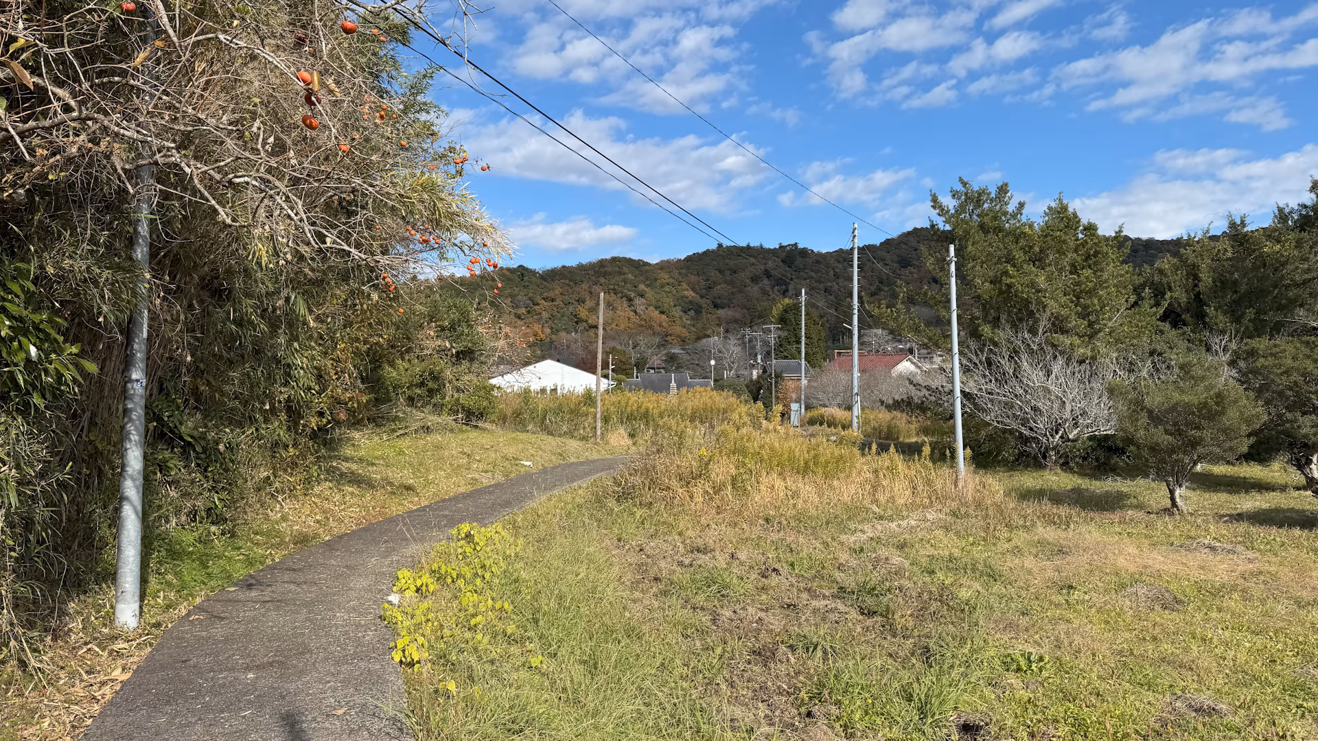 上総松丘駅へ向かう道路