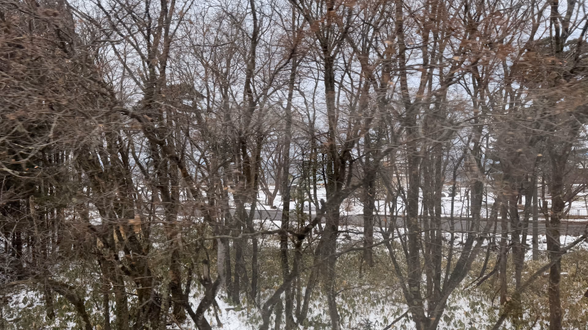 車窓から猪苗代湖