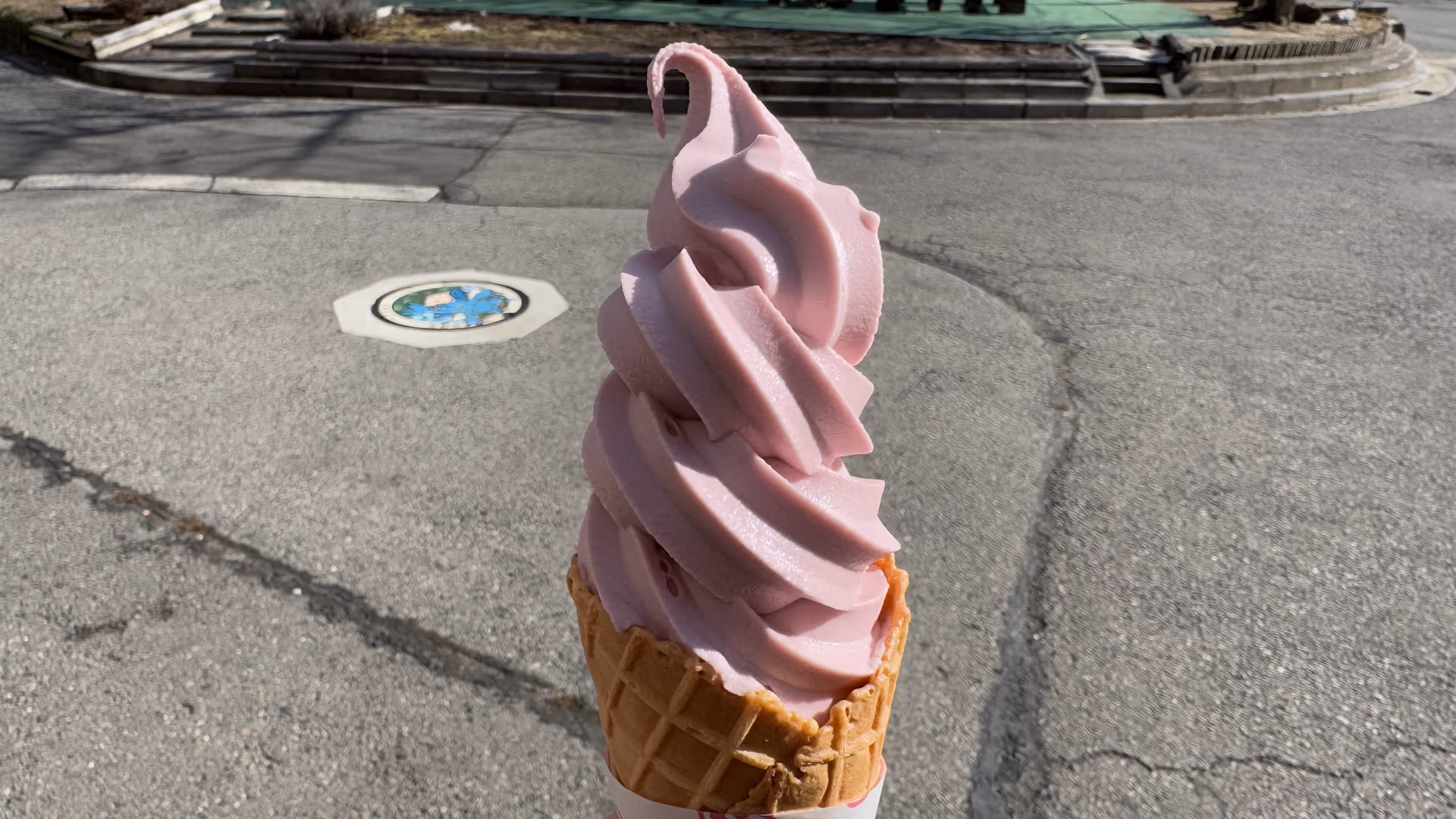 山ぶどうソフトクリーム